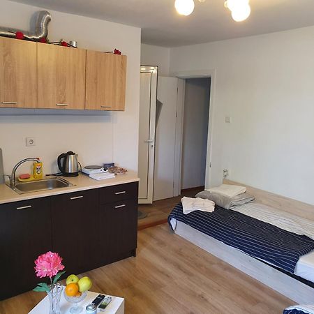 The Center Apartments Comfort Sandanski Rum bild